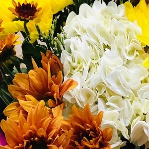 Meet Your Posher, Kimberly!